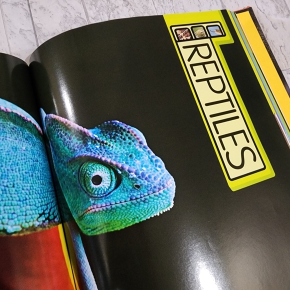 National Geographic Animal Encyclopedia - Picture 13 of 15